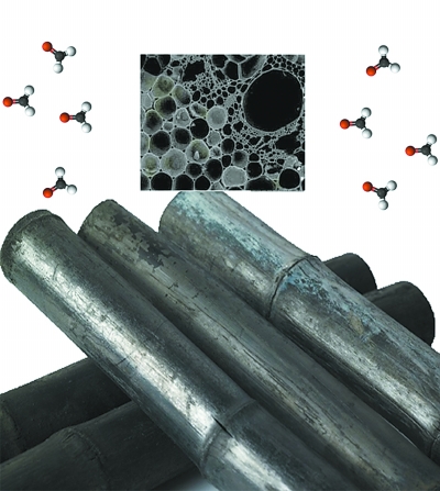 竹炭除甲醛不給力 專家建議:甲醛治理應該多方面入手 竹炭除甲醛不給力 專家建議:甲醛治理應該多方面入手