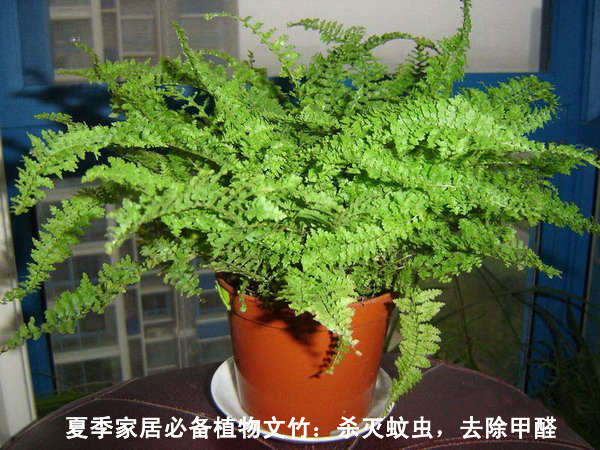 ��������˹̹���h(hu��n)���о��������gӭ��ҵĞg�[����վ�����P(gu��n)���ϲ��z�y���ϲ�����ȩ��һ���T���W(w��ng)վ��